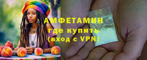 шишки Абаза