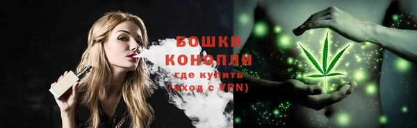 шишки Абаза