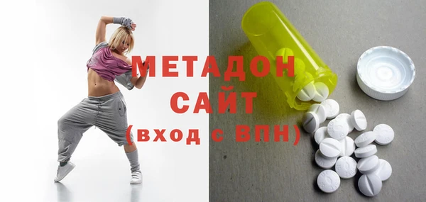 шишки Абаза
