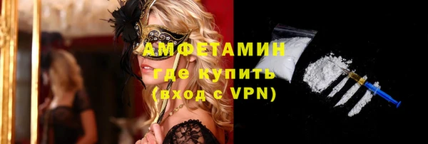 шишки Абаза