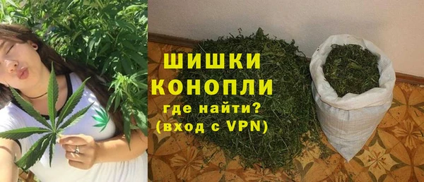 шишки Абаза