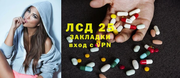 шишки Абаза