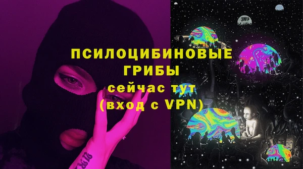 шишки Абаза