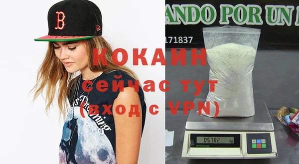 шишки Абаза