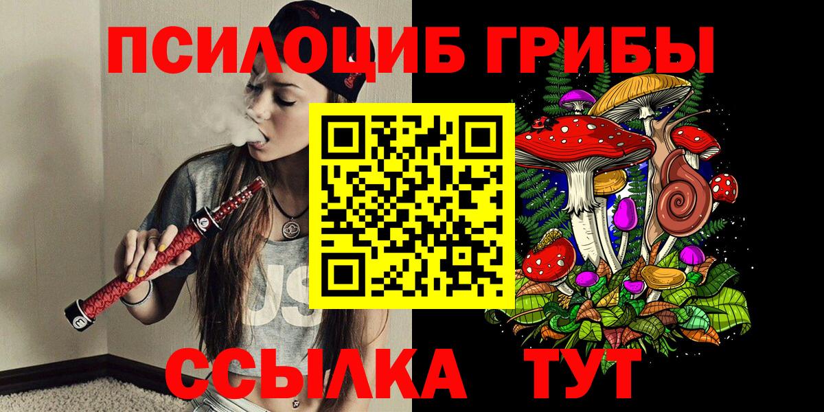 Псилоцибиновые грибы мицелий Алейск