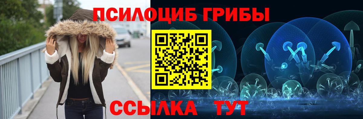 Алейск  Галлюциногенные грибы ЛСД  Псилоцибиновые грибы GOLDEN TEACHER  Вход с VPN 